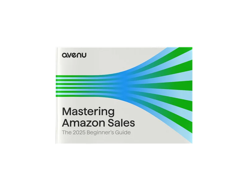 Mastering Amazon Sales — Beginners Guide — the guide's cover